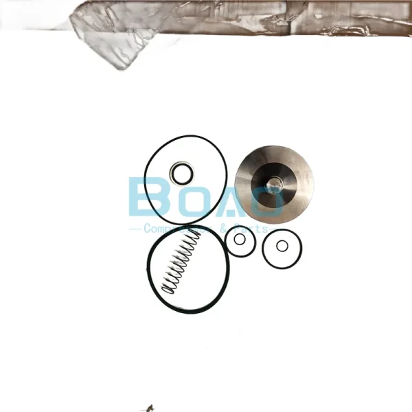 3001501006 ATLAS COPCO CHECK VAVLE SERVICE KIT (2)